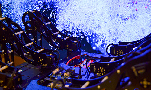 Abstract image of a computer spider and colourful background